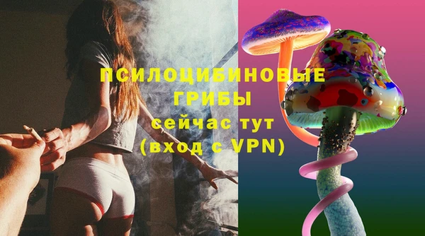 гидропоника Елизово