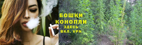 гидропоника Елизово