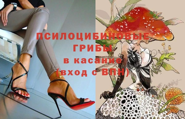 метамфетамин Ельня