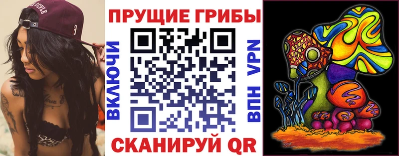 Галлюциногенные грибы мухоморы  Каменка 